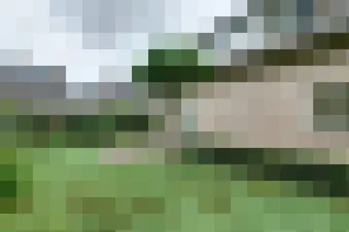 Lange Veertel 75 's Gravenmoer thumbnail 46