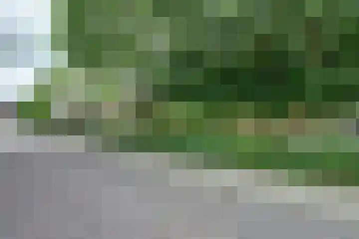 Lange Veertel 75 's Gravenmoer thumbnail 47