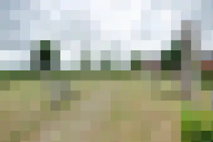 Lange Veertel 75 's Gravenmoer thumbnail 48