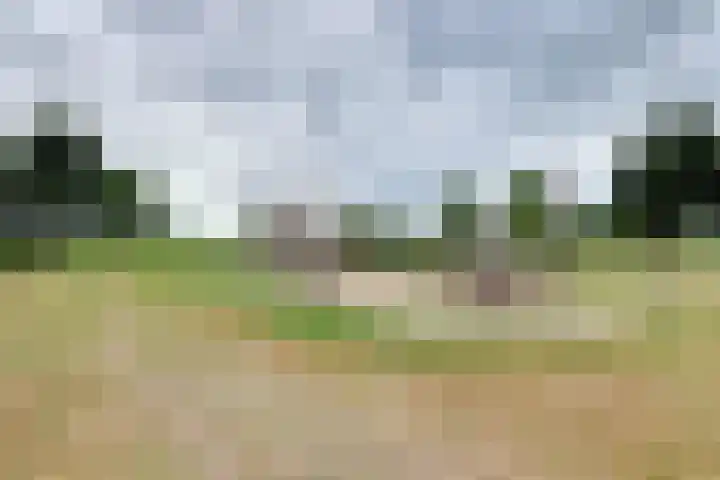 Lange Veertel 75 's Gravenmoer thumbnail 49