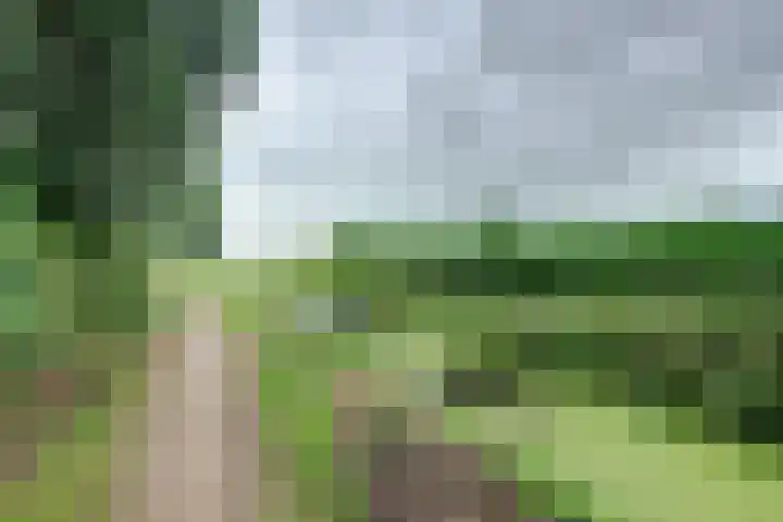 Lange Veertel 75 's Gravenmoer thumbnail 50