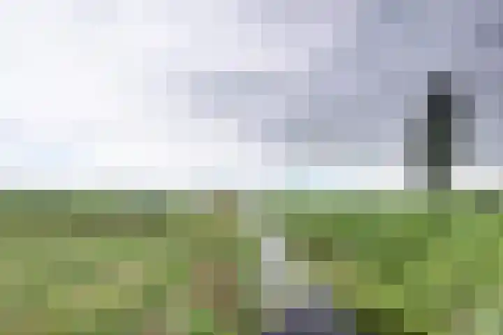 Lange Veertel 75 's Gravenmoer thumbnail 51