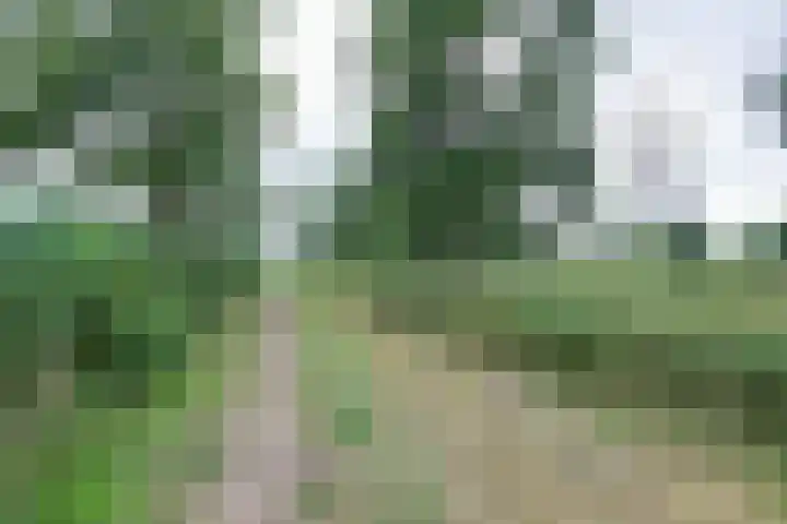 Lange Veertel 75 's Gravenmoer thumbnail 52