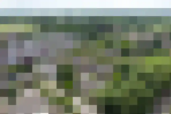 Lange Veertel 75 's Gravenmoer thumbnail 53