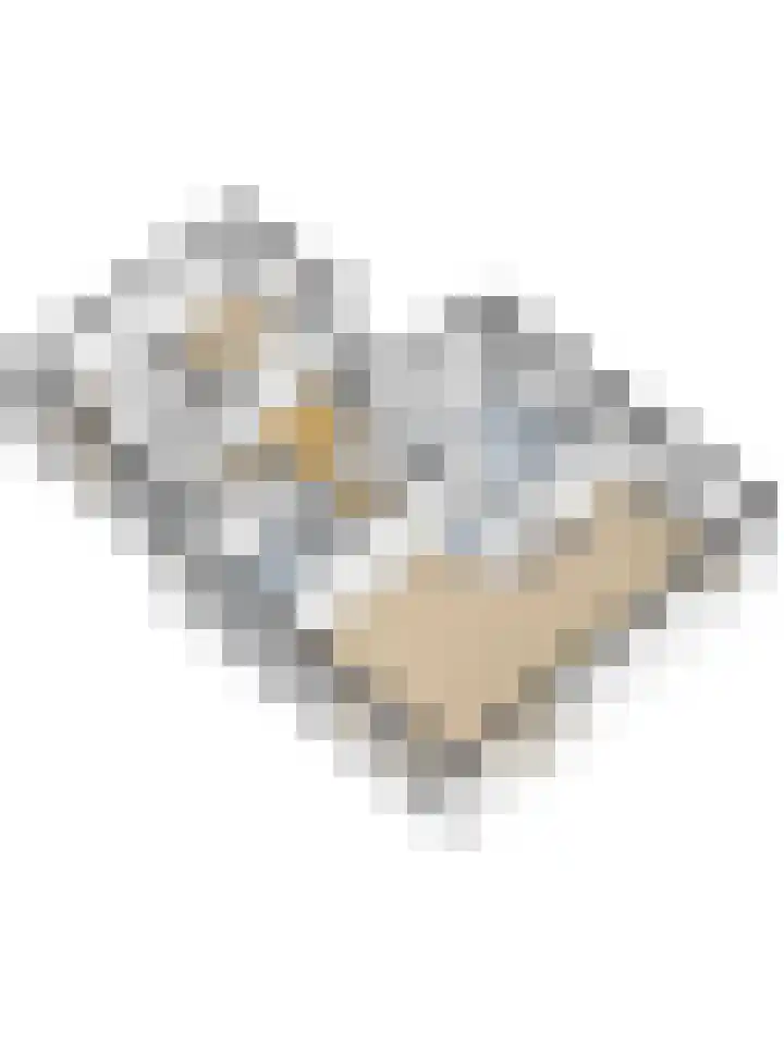 Lange Veertel 75 's Gravenmoer thumbnail 55