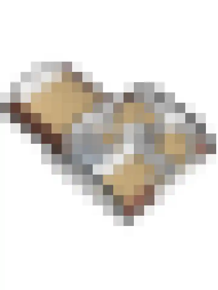 Lange Veertel 75 's Gravenmoer thumbnail 56