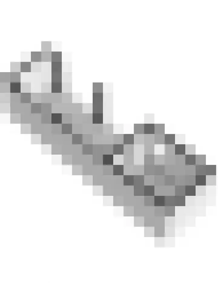 Lange Veertel 75 's Gravenmoer thumbnail 58