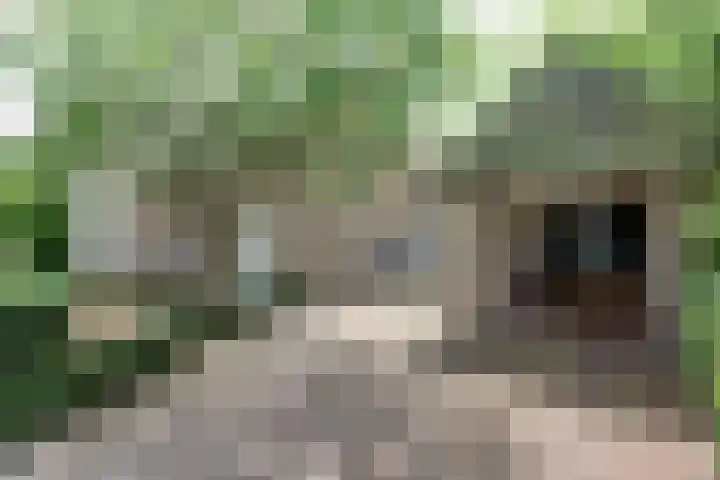 Lange Veertel 75 's Gravenmoer thumbnail 6