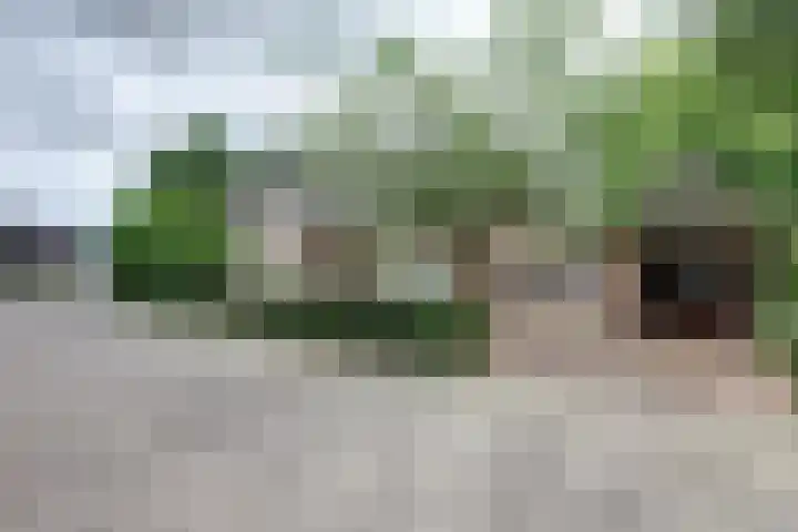 Lange Veertel 75 's Gravenmoer thumbnail 7