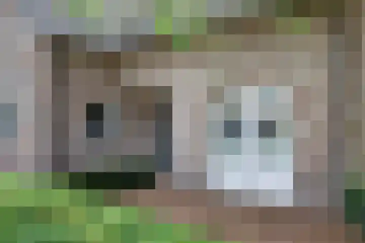Lange Veertel 75 's Gravenmoer thumbnail 8