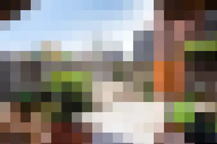 Lange Vijfmatlaan 40 Haarlem thumbnail 25