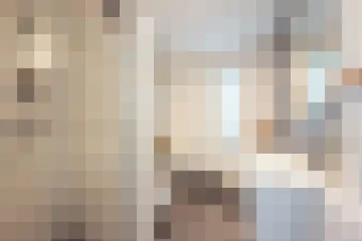 Lange Vijfmatlaan 40 Haarlem thumbnail 38
