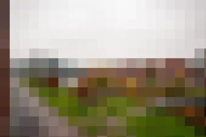 Lange Vijfmatlaan 40 Haarlem thumbnail 45