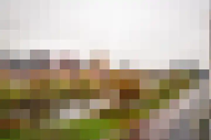 Lange Vijfmatlaan 40 Haarlem thumbnail 46