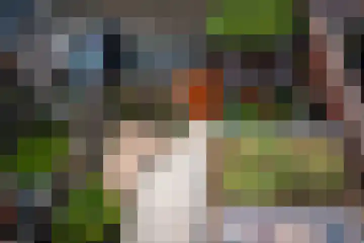 Lange Vijfmatlaan 40 Haarlem thumbnail 52