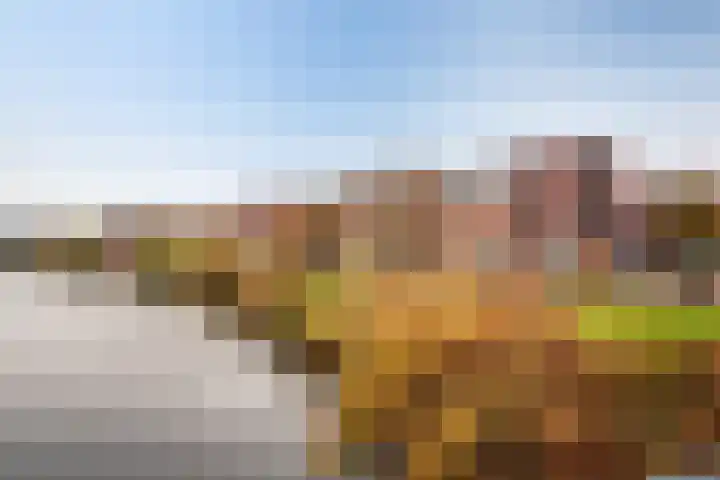 Lange Vijfmatlaan 40 Haarlem thumbnail 56