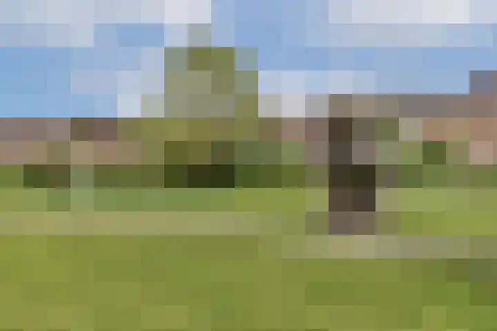 Lange Vijfmatlaan 40 Haarlem thumbnail 61