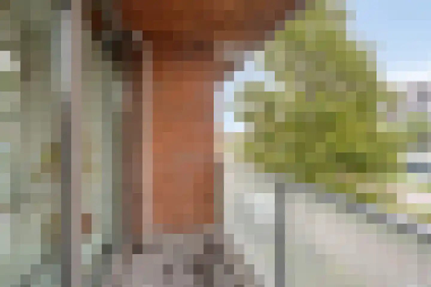 Lange Vijfmatlaan 76 Haarlem thumbnail 13