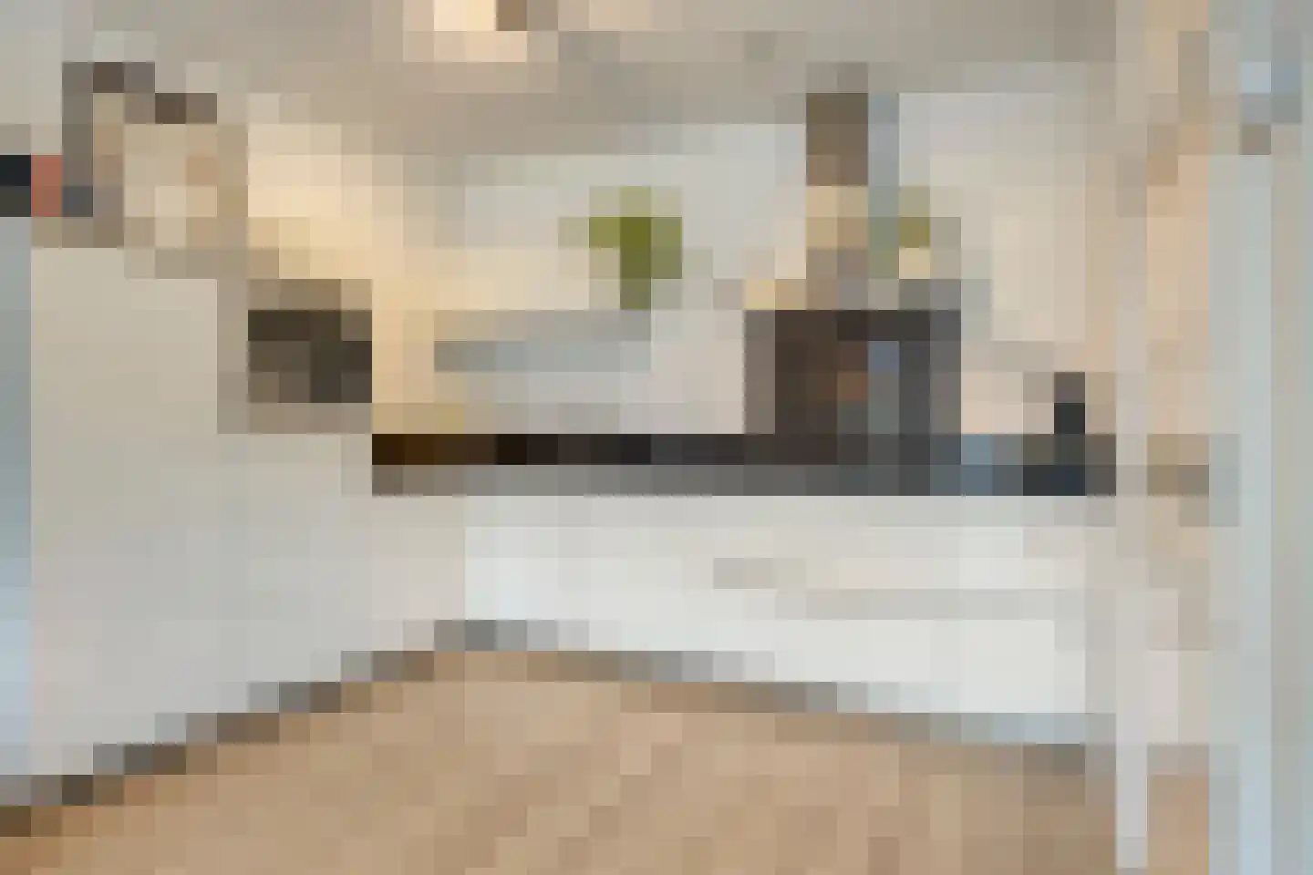 Lange Vijfmatlaan 76 Haarlem thumbnail 17