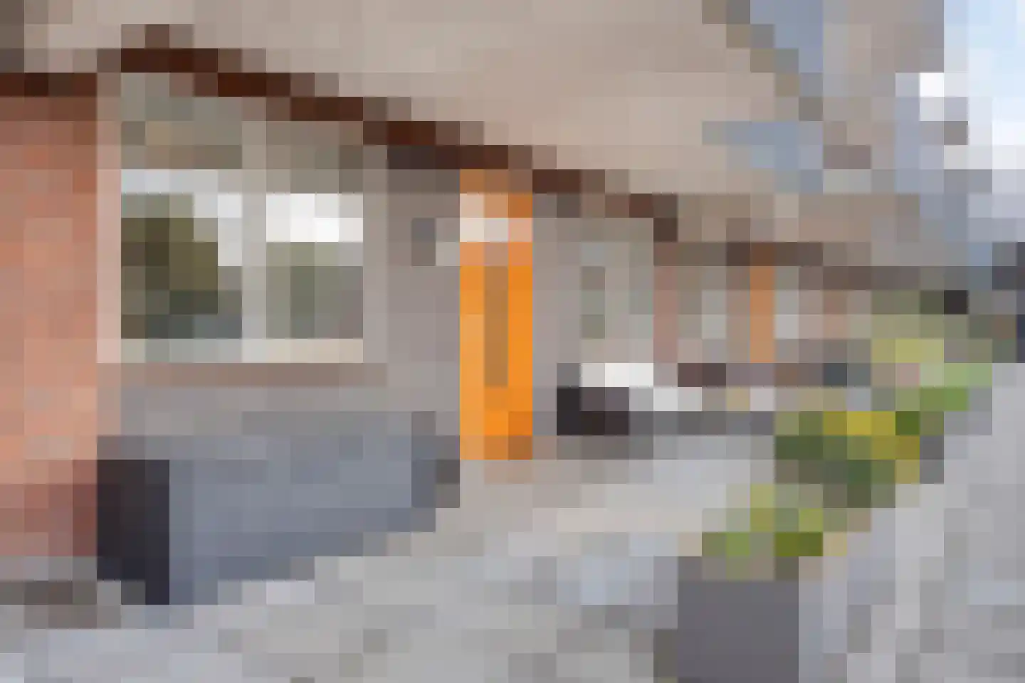 Lange Vijfmatlaan 76 Haarlem thumbnail 26