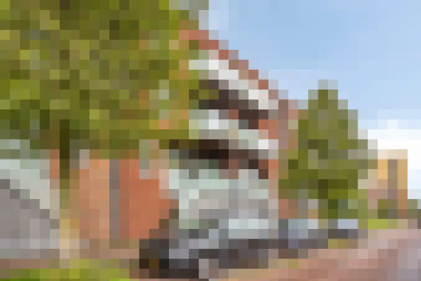 Lange Vijfmatlaan 76 Haarlem thumbnail 5
