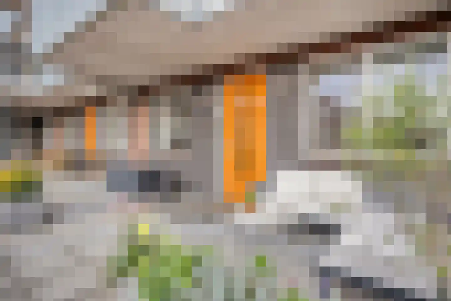 Lange Vijfmatlaan 76 Haarlem thumbnail 7