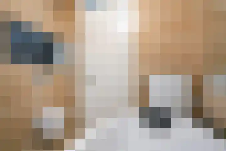 Lange Vijfmatlaan 78 Haarlem thumbnail 20