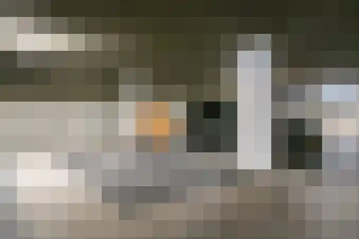 Lange Vijfmatlaan 78 Haarlem thumbnail 29