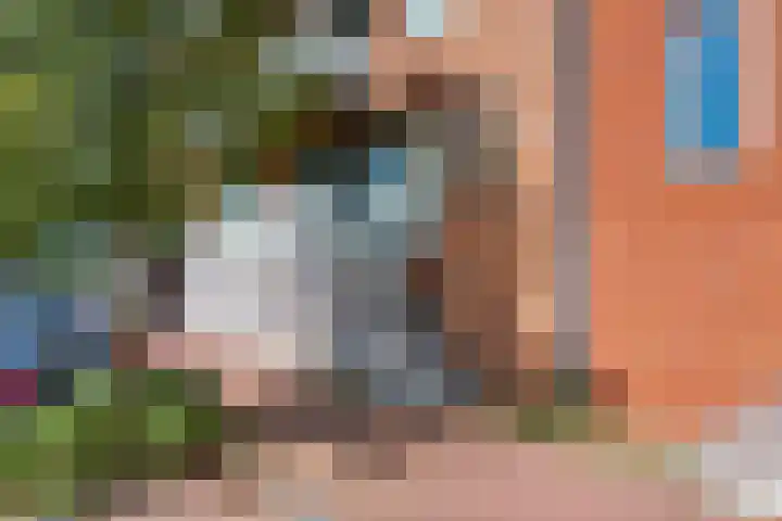 Lange Vijfmatlaan 78 Haarlem thumbnail 32