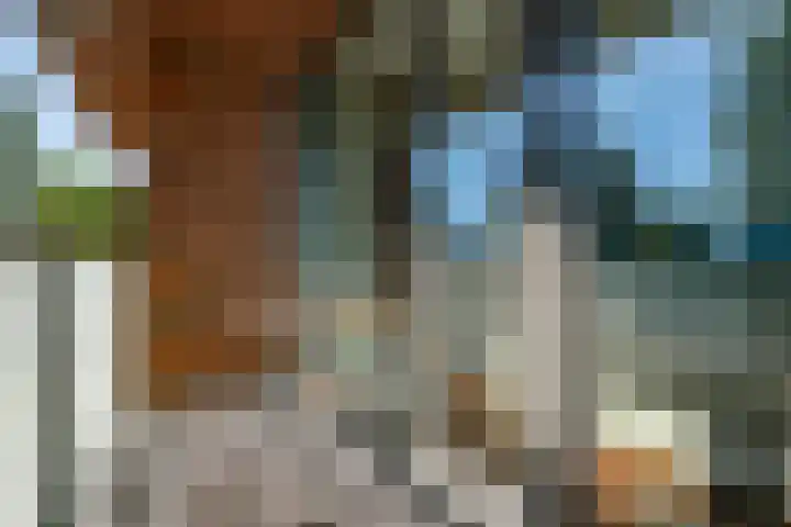 Lange Vijfmatlaan 78 Haarlem thumbnail 7