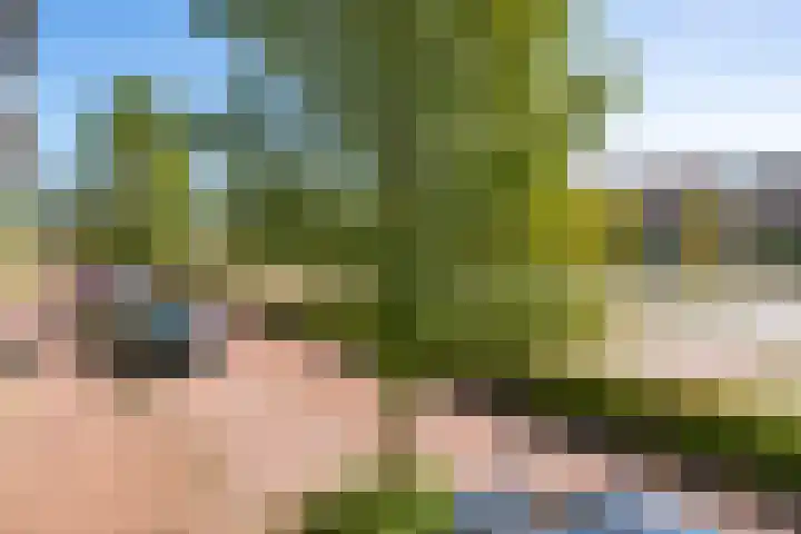 Lange Vijfmatlaan 78 Haarlem thumbnail 9