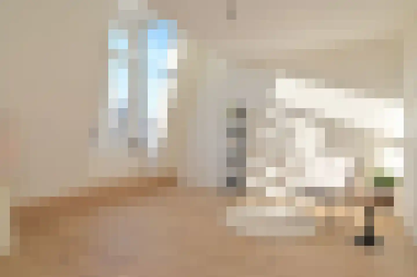 Lange Vijverberg 13 B Den Haag thumbnail 10