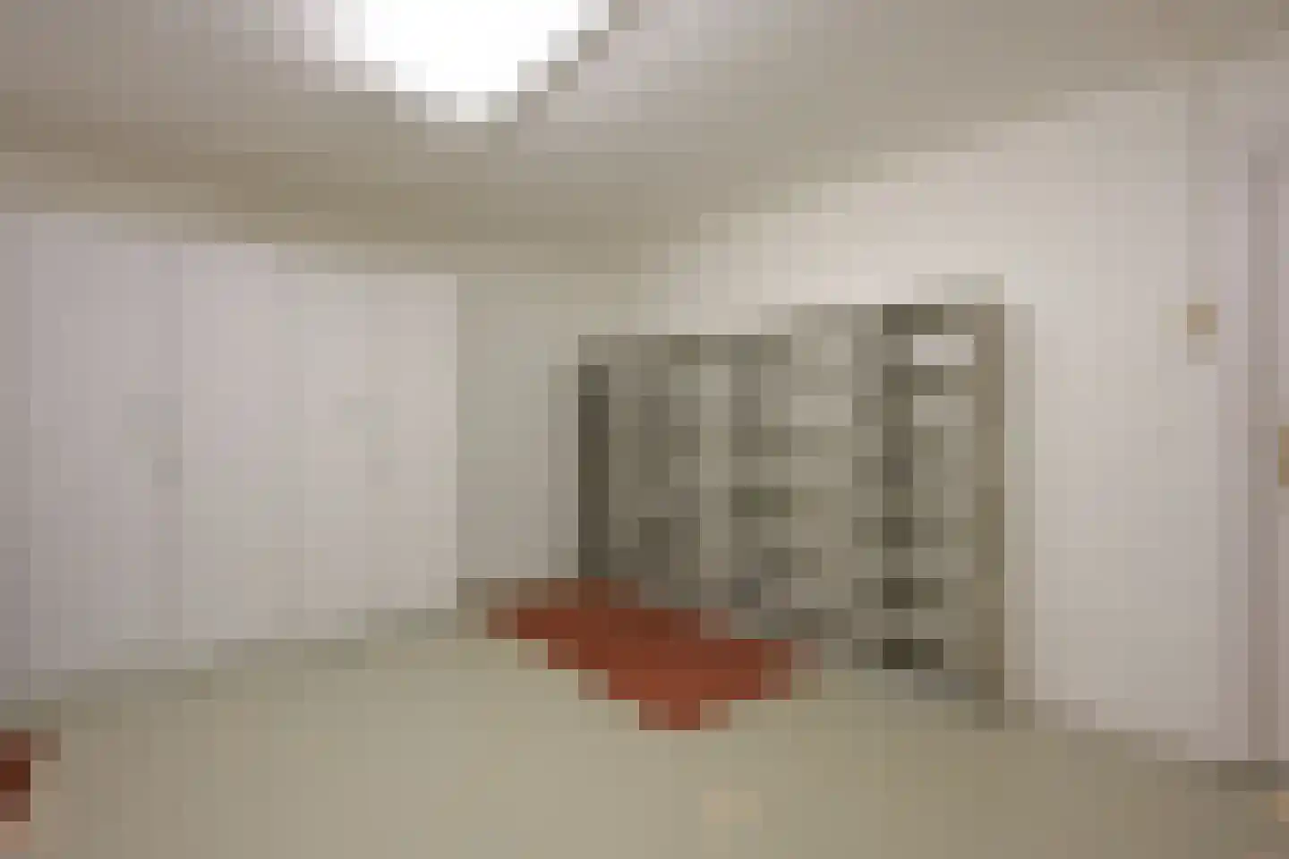 Lange Vijverberg 13 B Den Haag thumbnail 23