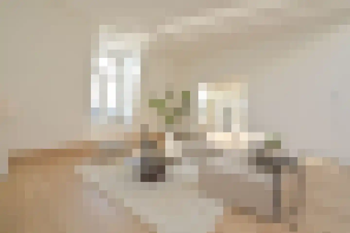 Lange Vijverberg 13 B Den Haag thumbnail 8