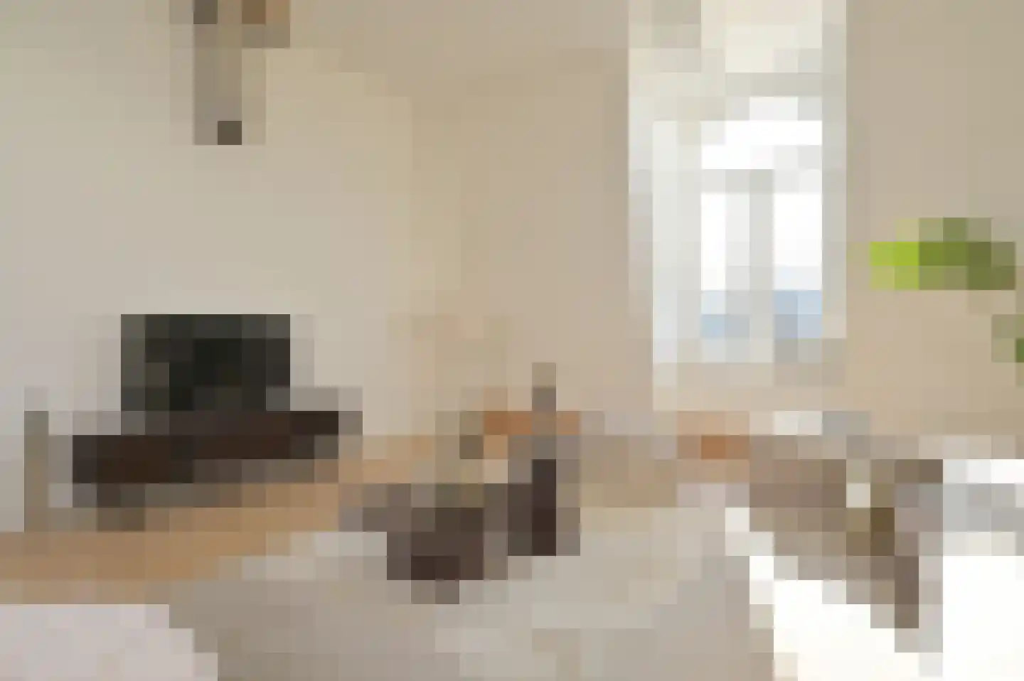 Lange Vijverberg 13 B Den Haag thumbnail 9