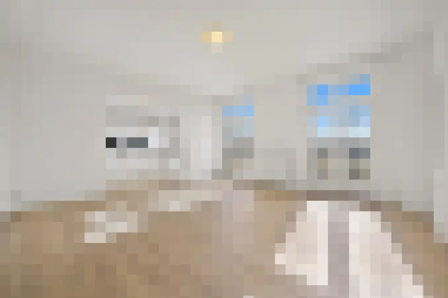 Lange Vijverberg 20 B Den Haag thumbnail 13