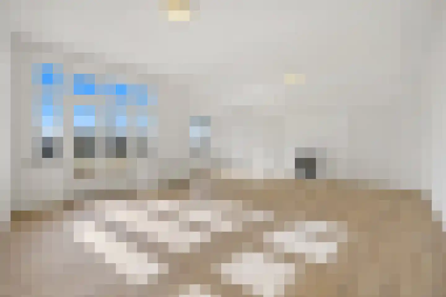 Lange Vijverberg 20 C Den Haag thumbnail 14