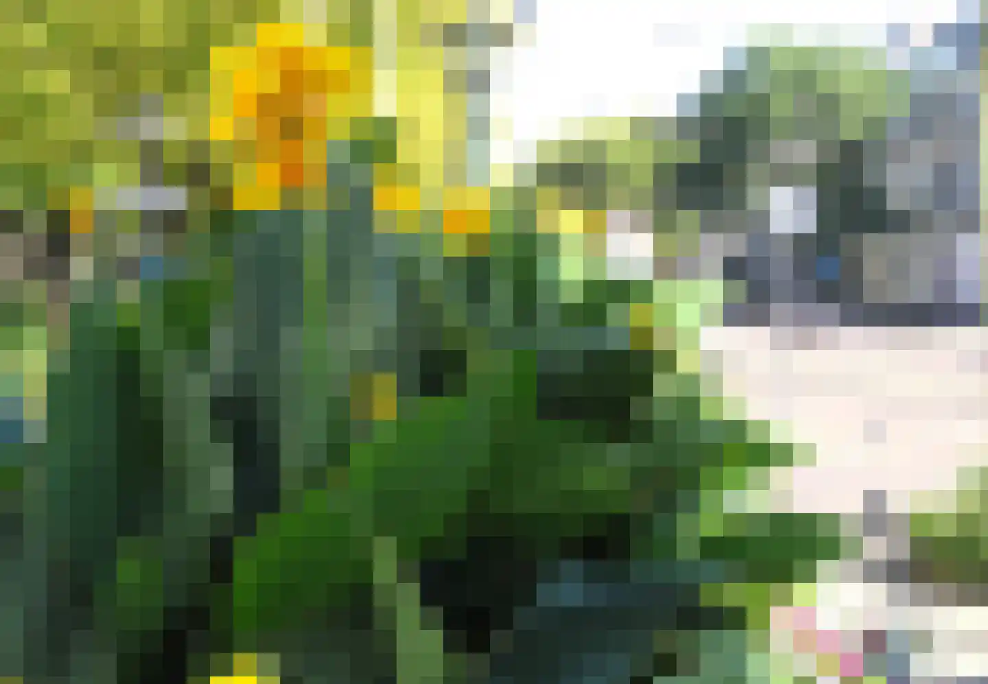 Lange Vijverberg 20 E Den Haag thumbnail 4