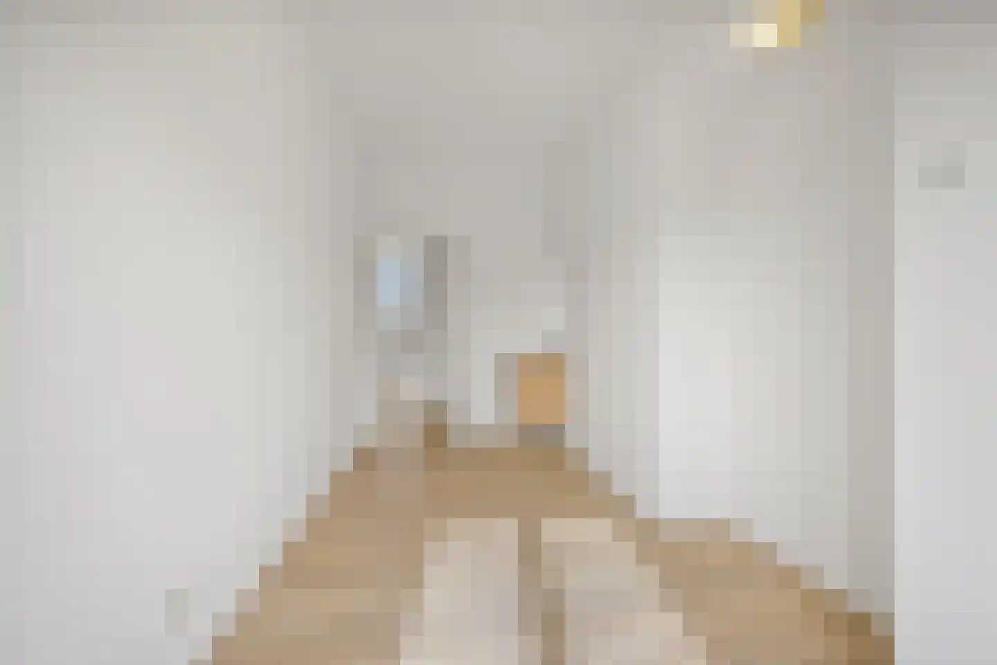 Lange Vijverberg 20 E Den Haag thumbnail 45