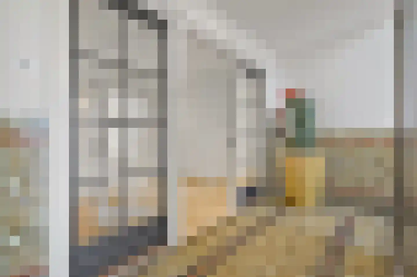 Lange Vijverberg 20 E Den Haag thumbnail 8