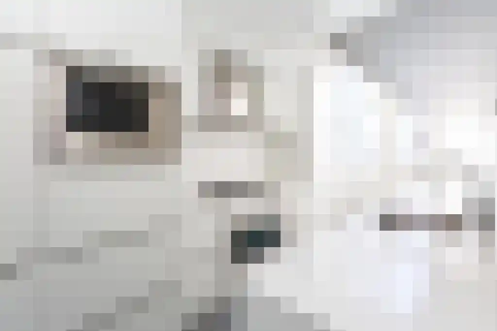 Lange Vijverberg 20 P Den Haag thumbnail 5