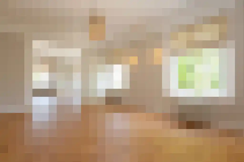 Lange Vijverberg 20 P Den Haag thumbnail 6