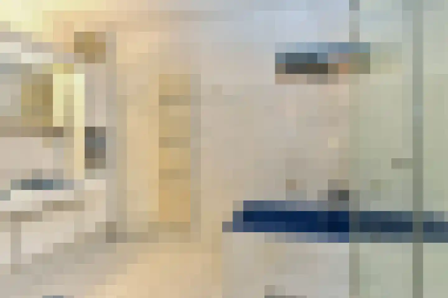 Lange Vijverberg 6 A Den Haag thumbnail 10