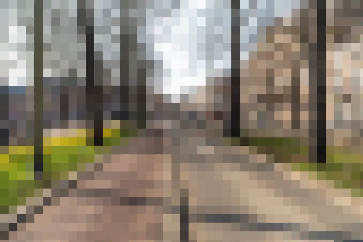 Lange Vijverberg 6 A Den Haag thumbnail 12