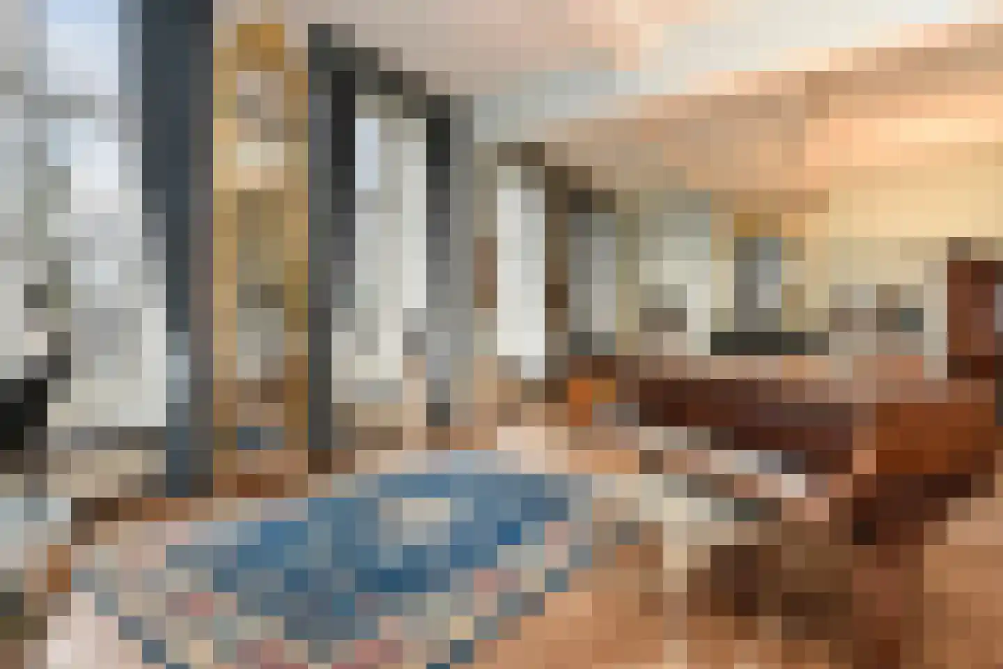 Lange Vijverberg 6 A Den Haag thumbnail 6