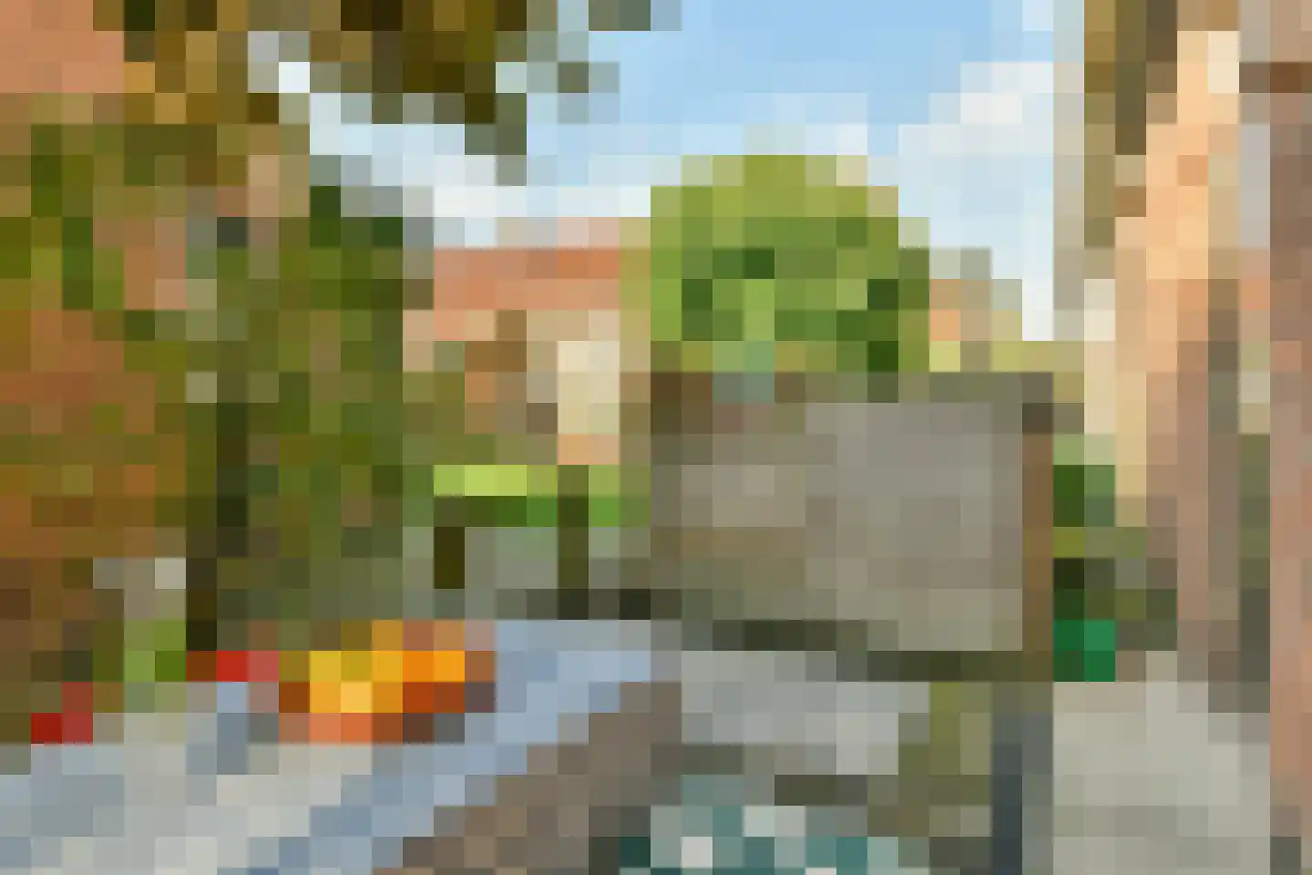 Lange Vogelstraat 16 Amsterdam thumbnail 13
