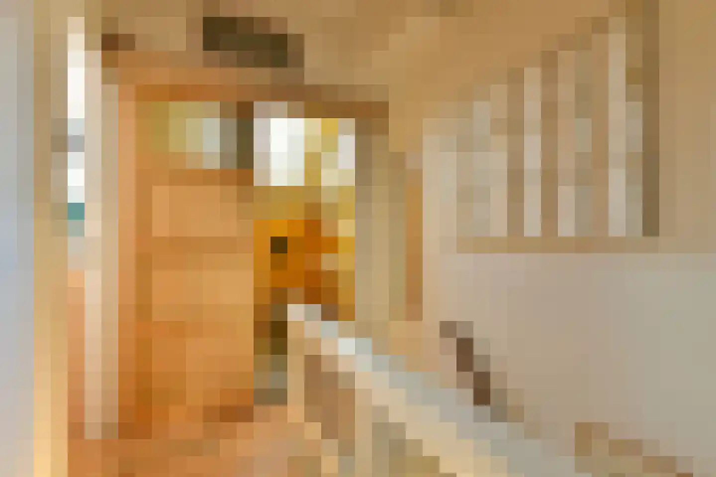 Lange Vogelstraat 16 Amsterdam thumbnail 21