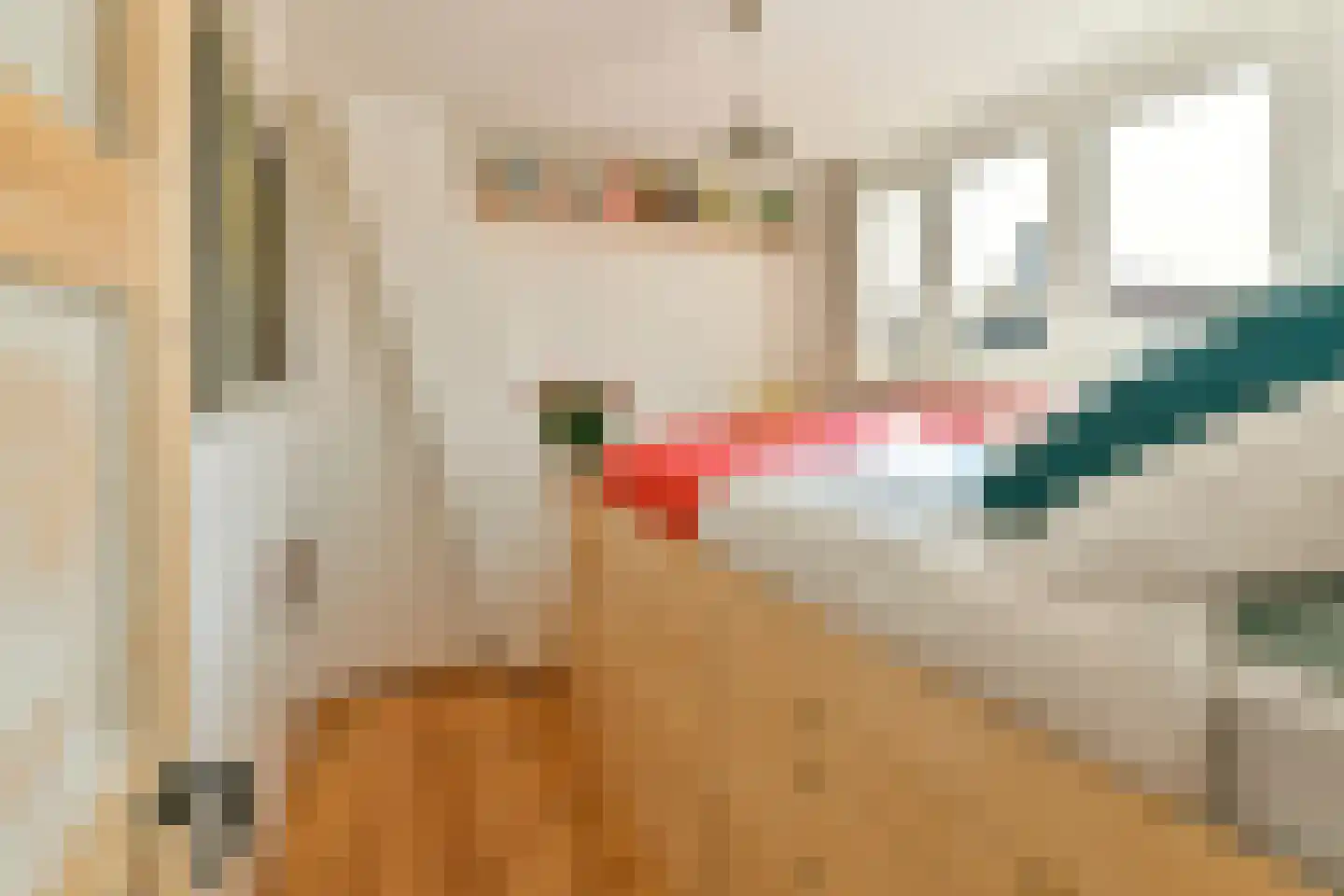 Lange Vogelstraat 16 Amsterdam thumbnail 22