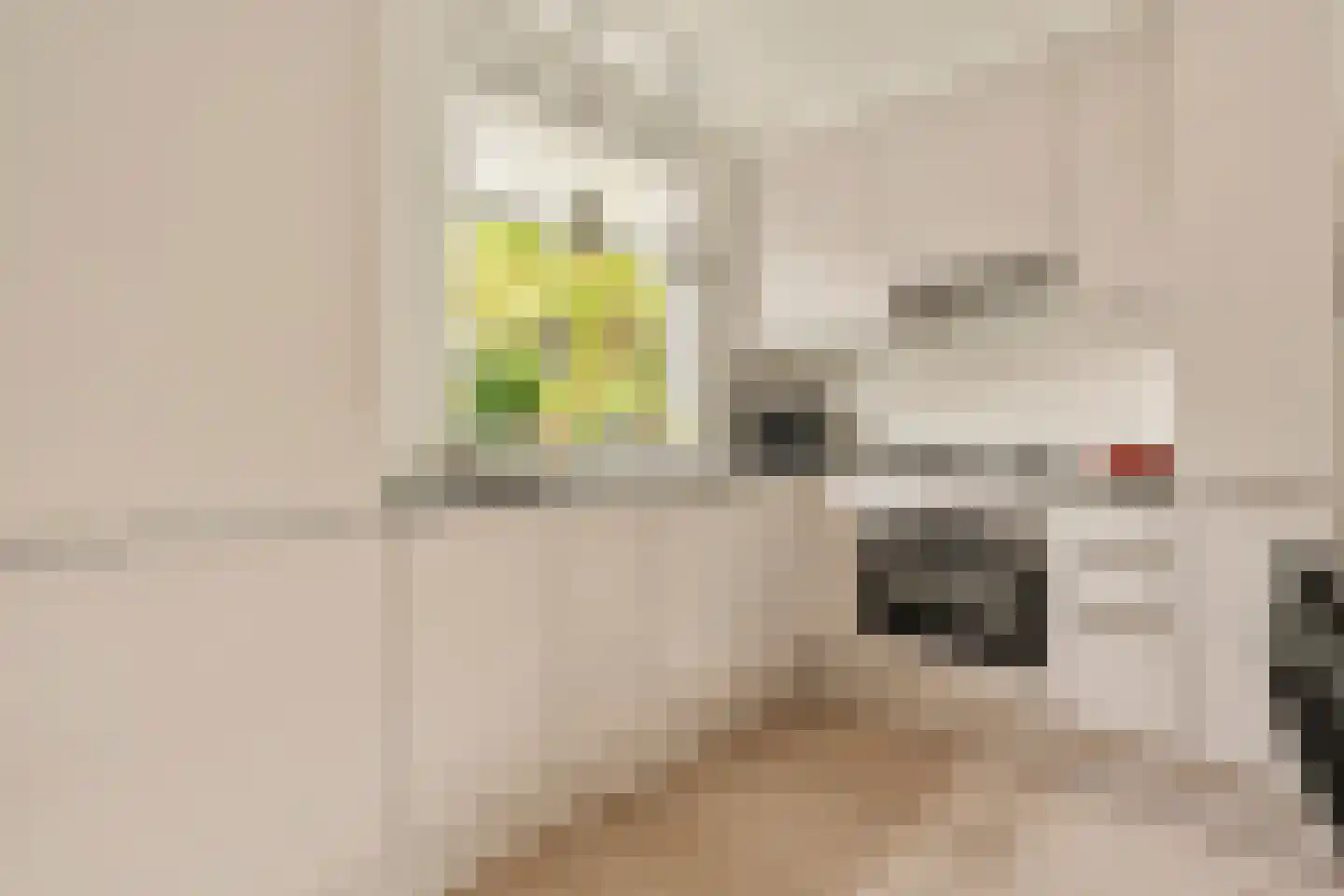 Lange Vogelstraat 3 Amsterdam thumbnail 5