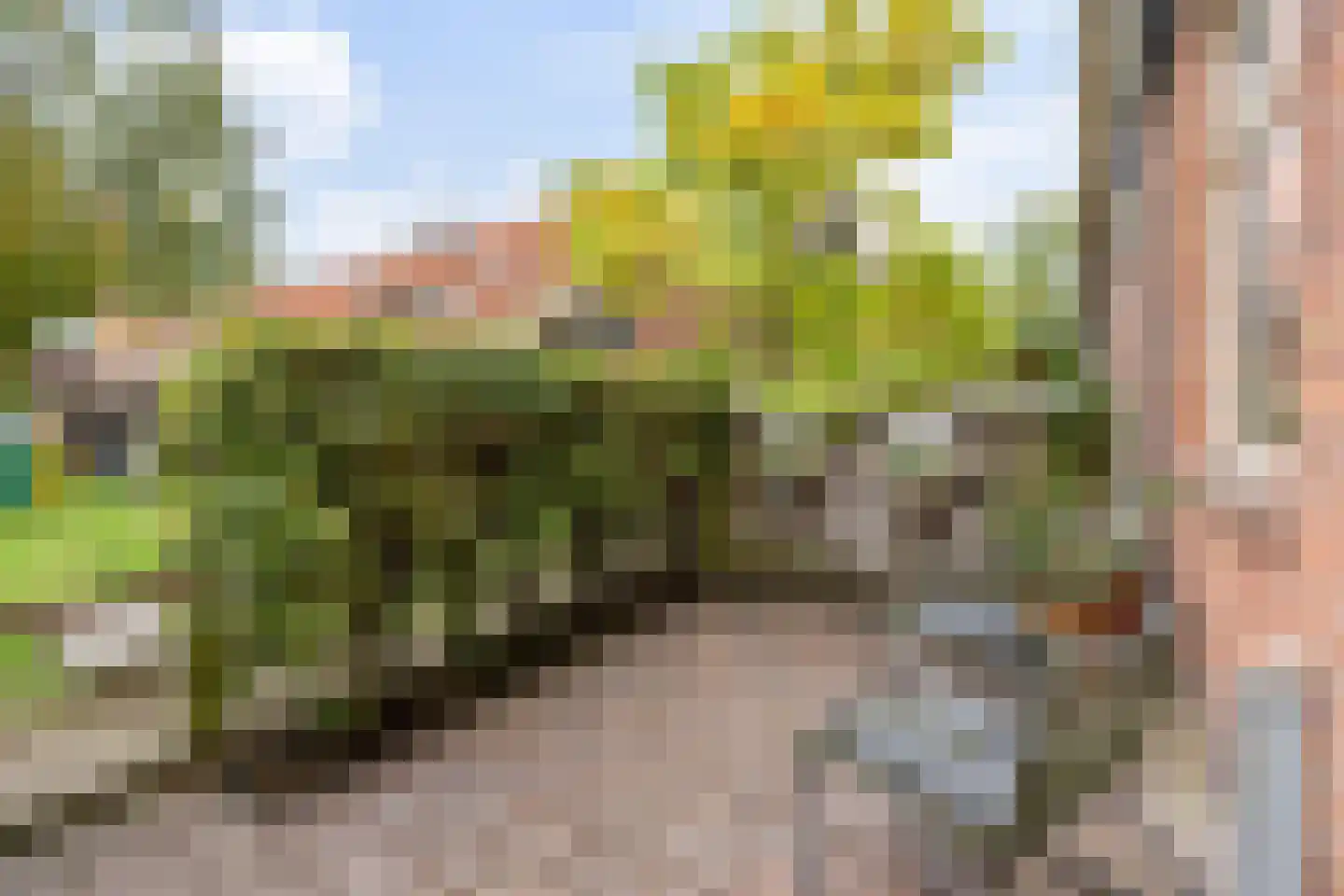 Lange Vogelstraat 3 Amsterdam thumbnail 7